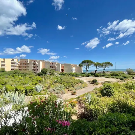 Avec Vue Mer, 30m De La Plage, Parking. Wi-fi Et Linge En Option. - Fr-1-338-542 公寓 塞特港