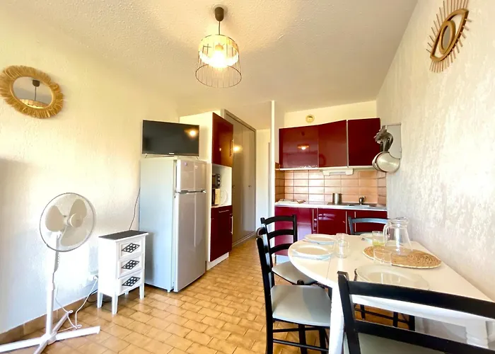 아파트 Avec Vue Mer, 30m De La Plage, Parking. Wi-fi Et Linge En Option. - Fr-1-338-542